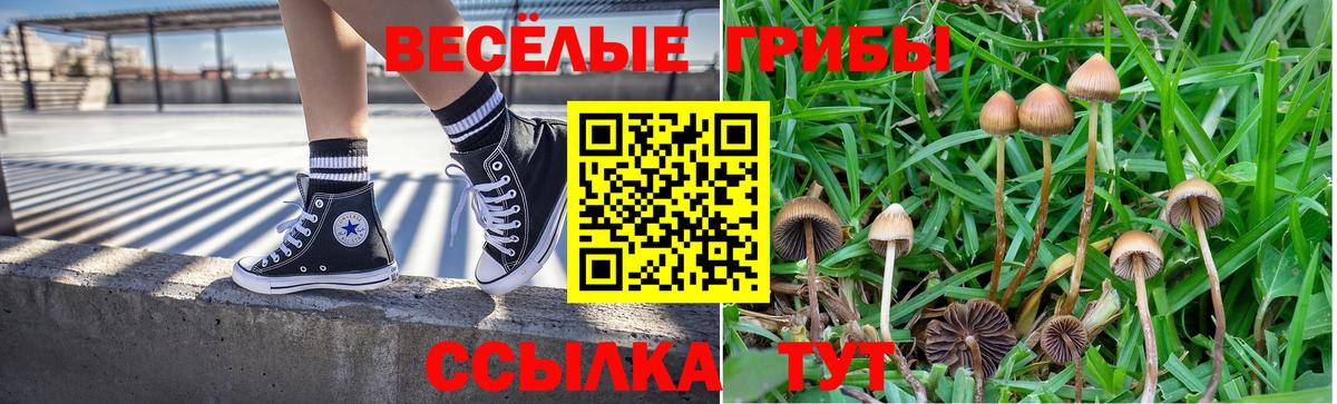 Псилоцибиновые грибы мицелий Карталы