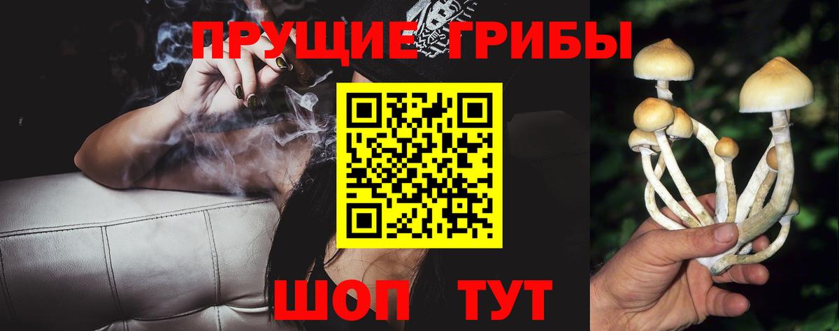 Галлюциногенные грибы мухоморы  Галлюциногенные грибы ЛСД  Карталы  продажа наркотиков  Вход с VPN 